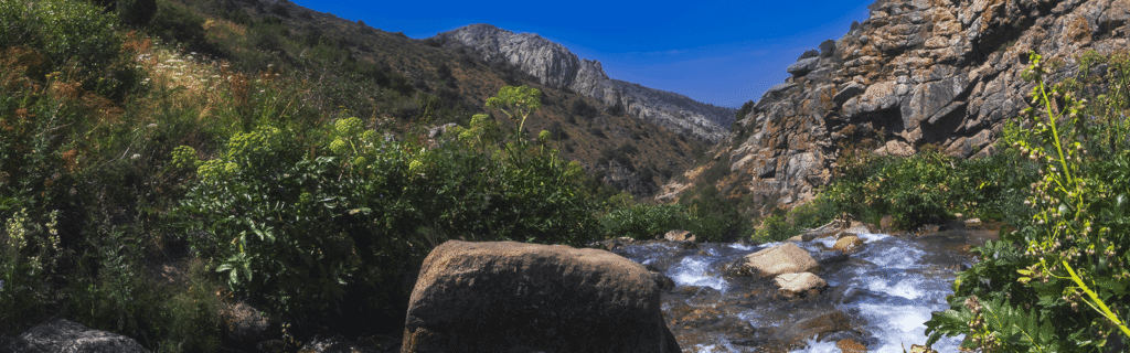 White Water Management Consultants - Projects & Change Management