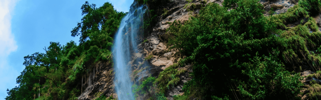 White Water Management Consultants - Strategic Marketing